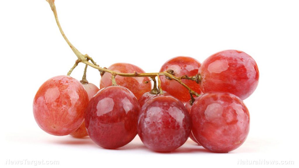 Le Resveratrol bio extrait de la peau du raisin rouge est un anti cancer naturel puissant comme les amandes amères d'abricot, l'artemisia annua ou les feuilles de graviola corossol