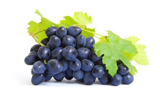 Le Resveratrol bio extrait de la peau du raisin rouge est un anti cancer naturel puissant comme les amandes amères d'abricot, l'artemisia annua ou les feuilles de graviola corossol